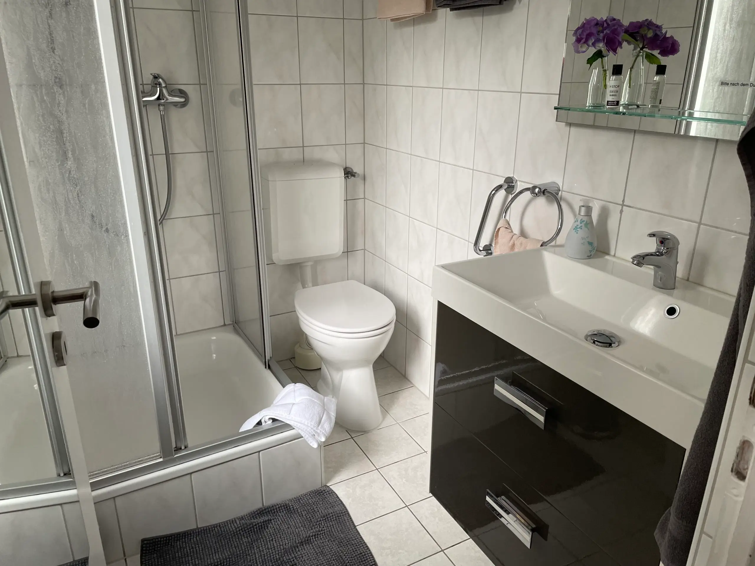 Badezimmer mit Dusche, WC und Waschtisch